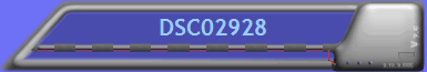 DSC02928