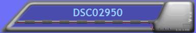 DSC02950