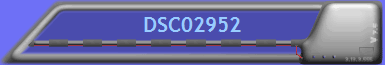 DSC02952