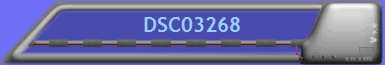 DSC03268