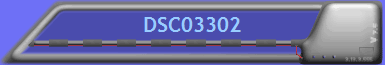DSC03302